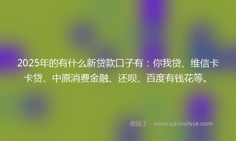 2025年的有什么新贷款口子有：你我贷、维信卡卡贷、中原消费金融、还呗、百度有钱花等。