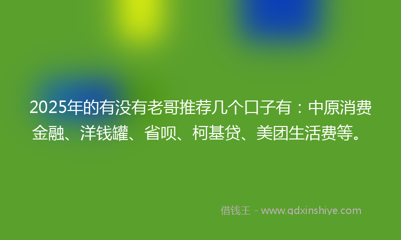 2025年的有没有老哥推荐几个口子有：中原消费金融、洋钱罐、省呗、柯基贷、美团生活费等。