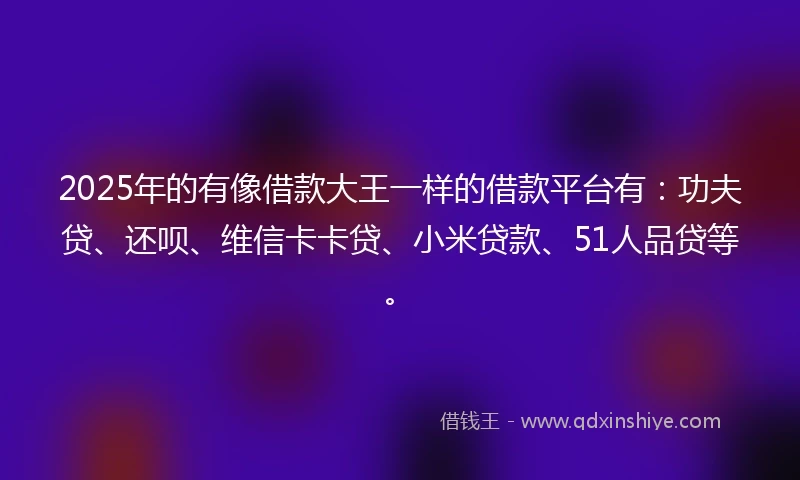 2025年的有像借款大王一样的借款平台有：功夫贷、还呗、维信卡卡贷、小米贷款、51人品贷等。