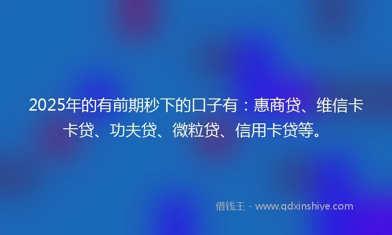 2025年的有前期秒下的口子有：惠商贷、维信卡卡贷、功夫贷、微粒贷、信用卡贷等。