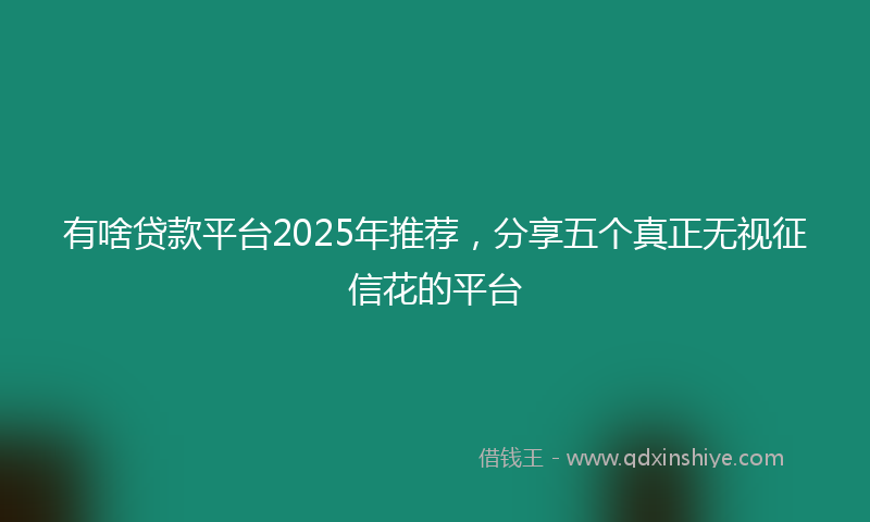 有啥贷款平台2025年推荐，分享五个真正无视征信花的平台