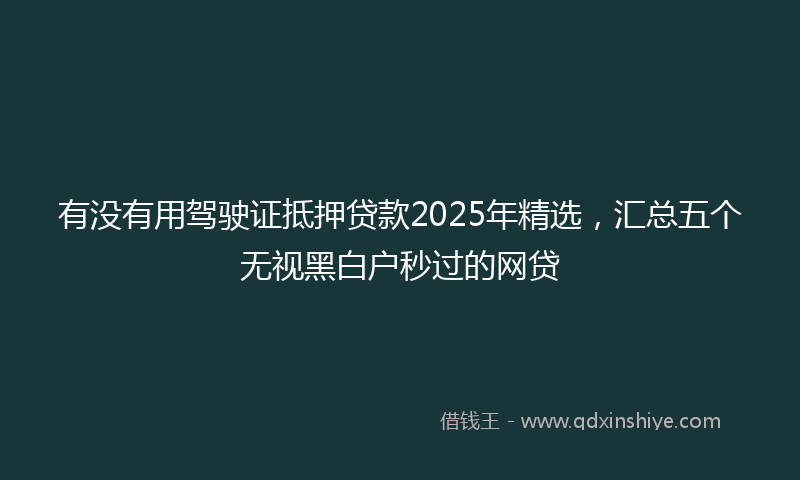 有没有用驾驶证抵押贷款2025年精选，汇总五个无视黑白户秒过的网贷