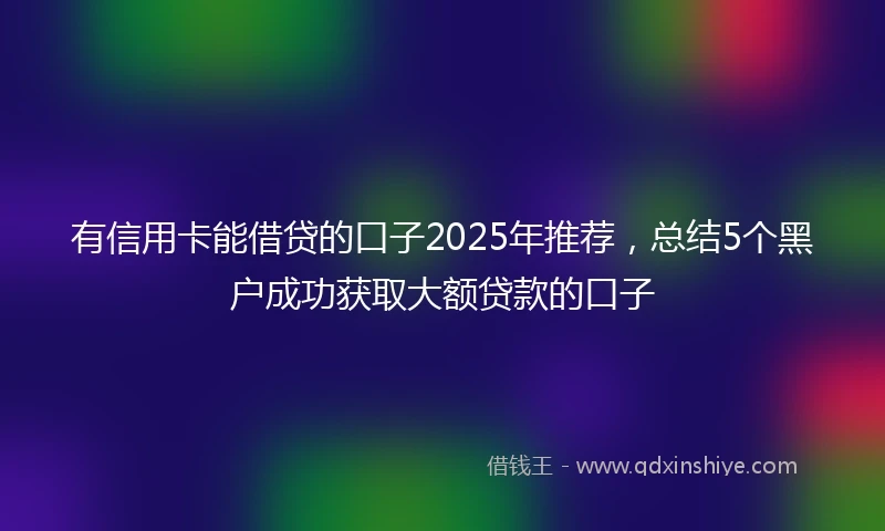 有信用卡能借贷的口子2025年推荐，总结5个黑户成功获取大额贷款的口子