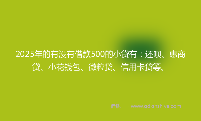 2025年的有没有借款500的小贷有：还呗、惠商贷、小花钱包、微粒贷、信用卡贷等。