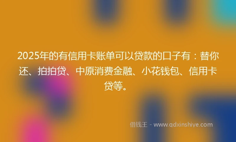 2025年的有信用卡账单可以贷款的口子有：替你还、拍拍贷、中原消费金融、小花钱包、信用卡贷等。
