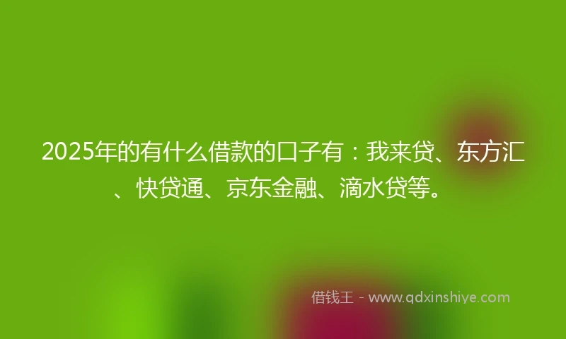 2025年的有什么借款的口子有：我来贷、东方汇、快贷通、京东金融、滴水贷等。