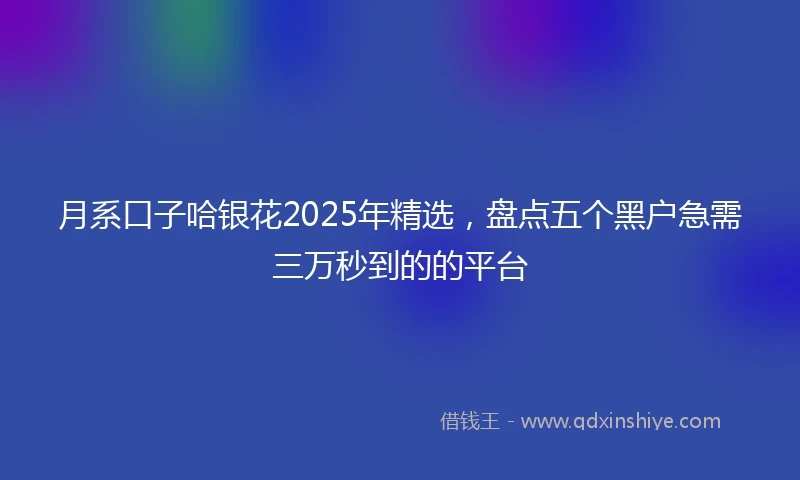 月系口子哈银花2025年精选，盘点五个黑户急需三万秒到的的平台