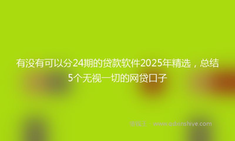 有没有可以分24期的贷款软件2025年精选，总结5个无视一切的网贷口子
