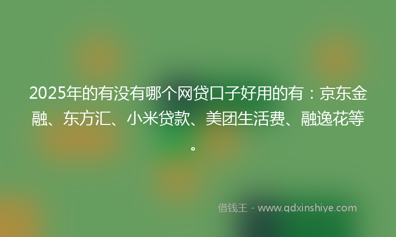 2025年的有没有哪个网贷口子好用的有：京东金融、东方汇、小米贷款、美团生活费、融逸花等。