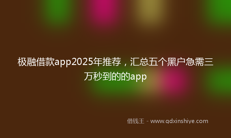 极融借款app2025年推荐,汇总五个黑户急需三万秒到的的app