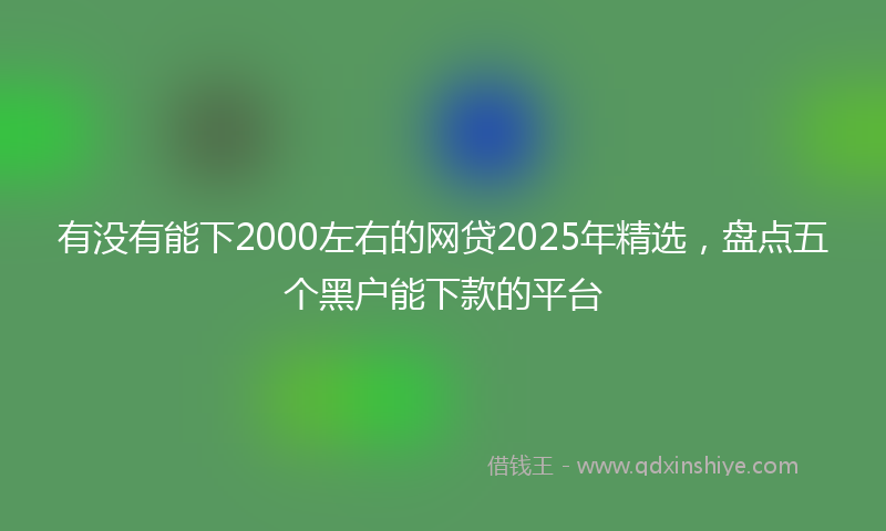 有没有能下2000左右的网贷2025年精选，盘点五个黑户能下款的平台