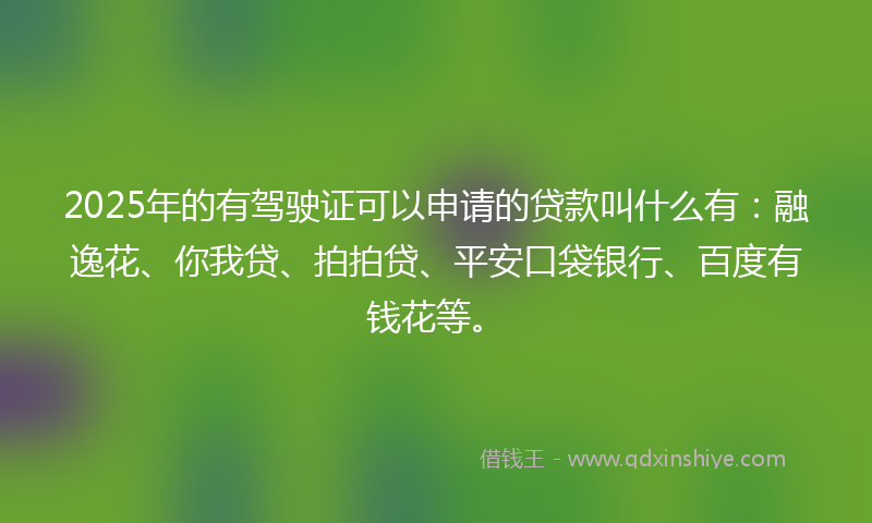 2025年的有驾驶证可以申请的贷款叫什么有：融逸花、你我贷、拍拍贷、平安口袋银行、百度有钱花等。