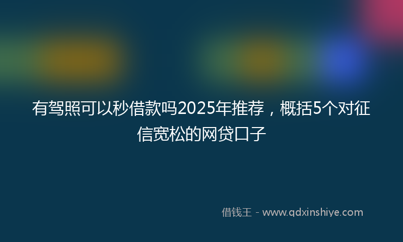 有驾照可以秒借款吗2025年推荐，概括5个对征信宽松的网贷口子
