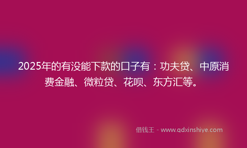 2025年的有没能下款的口子有：功夫贷、中原消费金融、微粒贷、花呗、东方汇等。