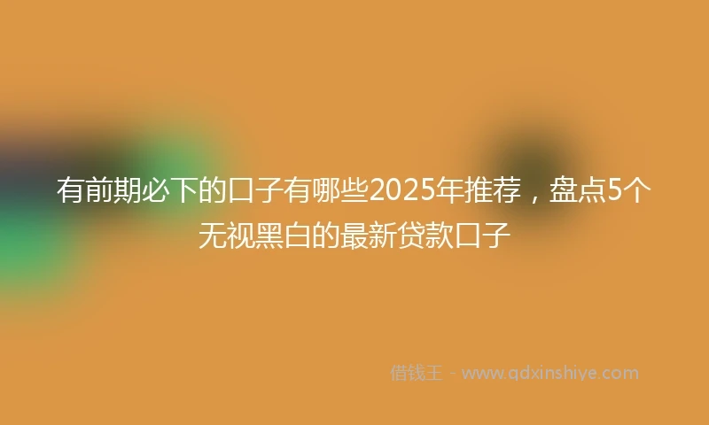有前期必下的口子有哪些2025年推荐，盘点5个无视黑白的最新贷款口子