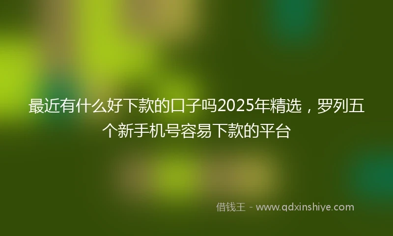 最近有什么好下款的口子吗2025年精选,罗列五个新手机号容易下款的平台