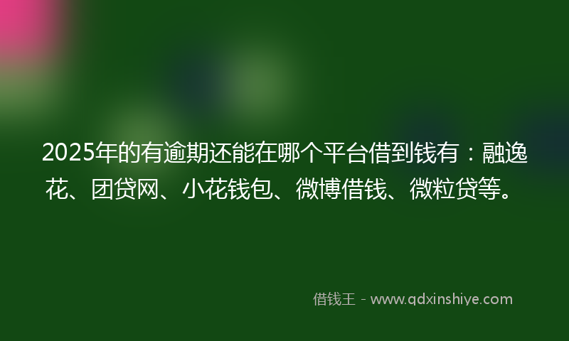 2025年的有逾期还能在哪个平台借到钱有：融逸花、团贷网、小花钱包、微博借钱、微粒贷等。