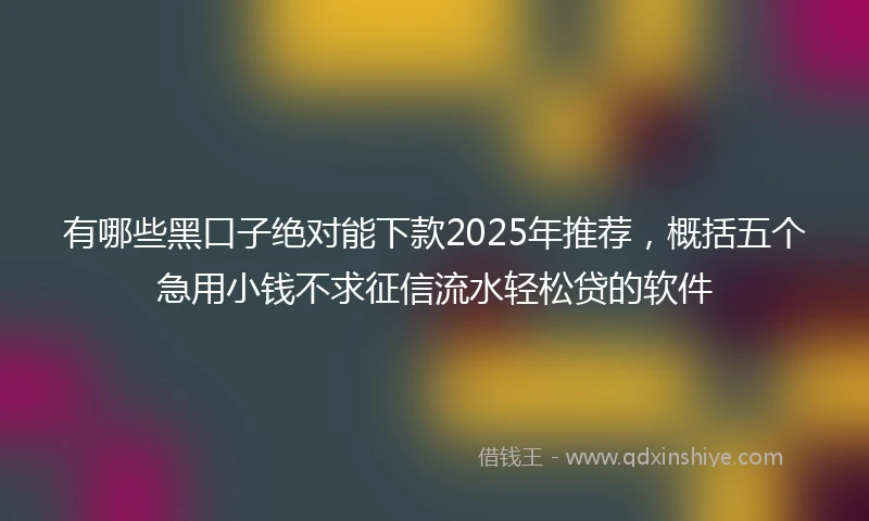 有哪些黑口子绝对能下款2025年推荐，概括五个急用小钱不求征信流水轻松贷的软件