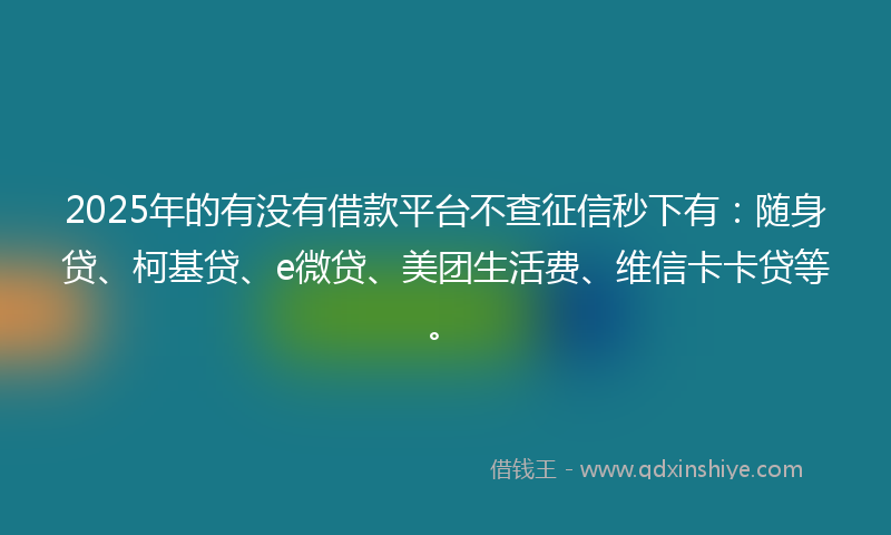 2025年的有没有借款平台不查征信秒下有：随身贷、柯基贷、e微贷、美团生活费、维信卡卡贷等。
