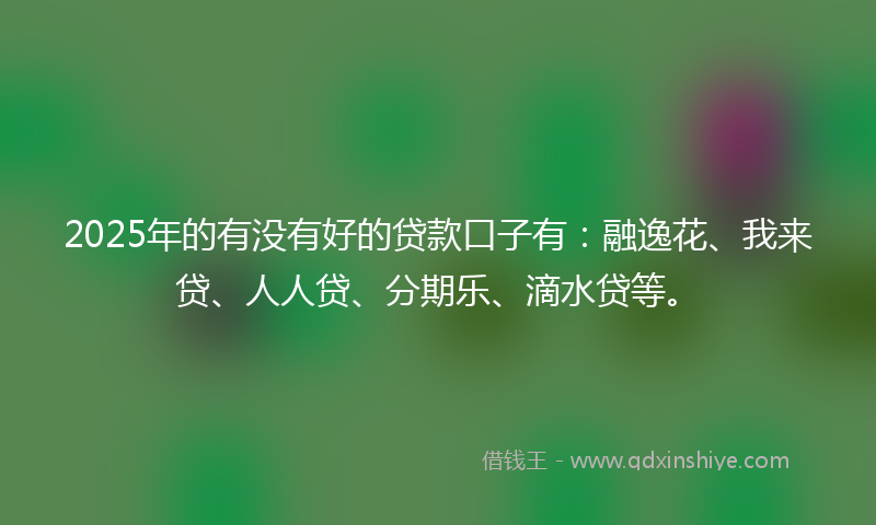 2025年的有没有好的贷款口子有：融逸花、我来贷、人人贷、分期乐、滴水贷等。