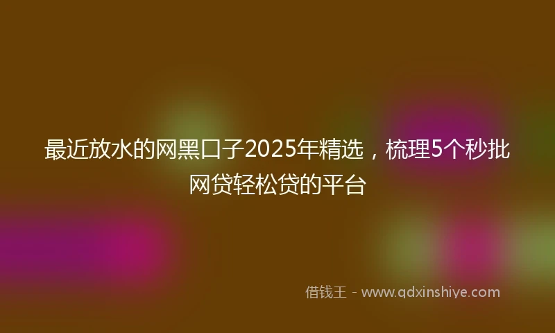 最近放水的网黑口子2025年精选，梳理5个秒批网贷轻松贷的平台