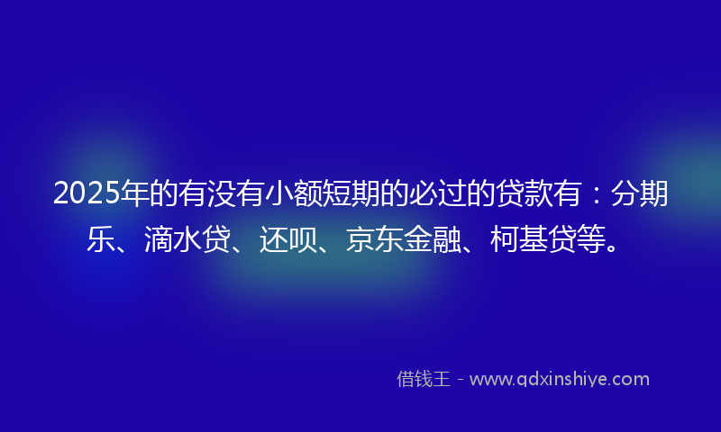 2025年的有没有小额短期的必过的贷款有：分期乐、滴水贷、还呗、京东金融、柯基贷等。