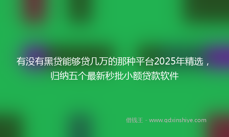 有没有黑贷能够贷几万的那种平台2025年精选，归纳五个最新秒批小额贷款软件
