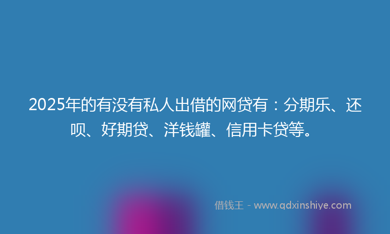2025年的有没有私人出借的网贷有：分期乐、还呗、好期贷、洋钱罐、信用卡贷等。