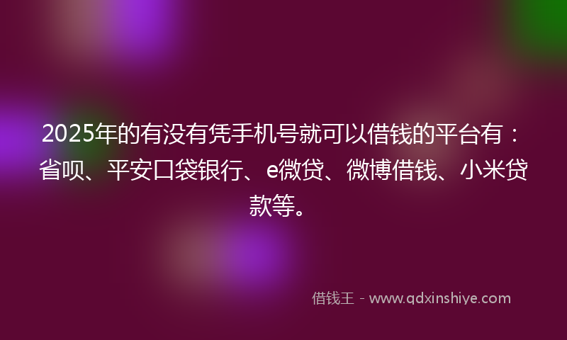 2025年的有没有凭手机号就可以借钱的平台有：省呗、平安口袋银行、e微贷、微博借钱、小米贷款等。