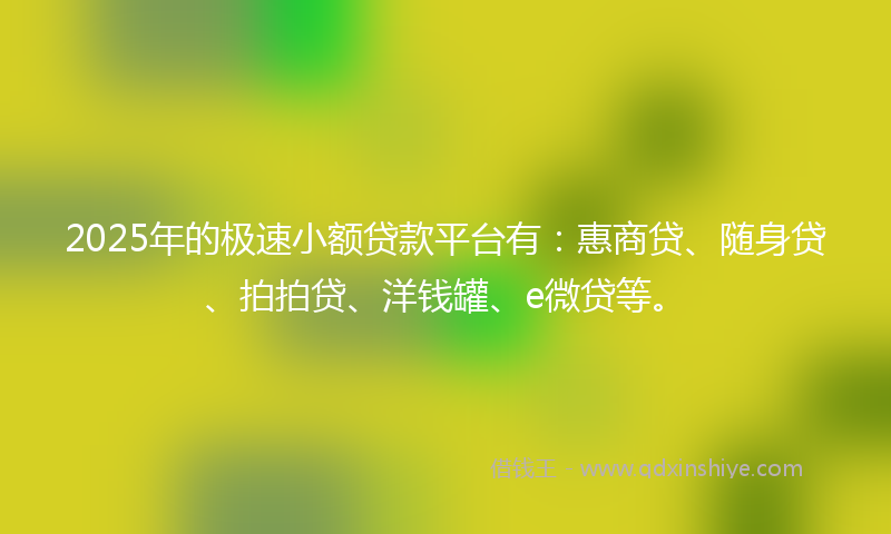 2025年的极速小额贷款平台有：惠商贷、随身贷、拍拍贷、洋钱罐、e微贷等。