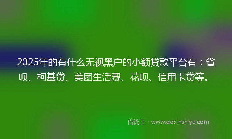 2025年的有什么无视黑户的小额贷款平台有：省呗、柯基贷、美团生活费、花呗、信用卡贷等。