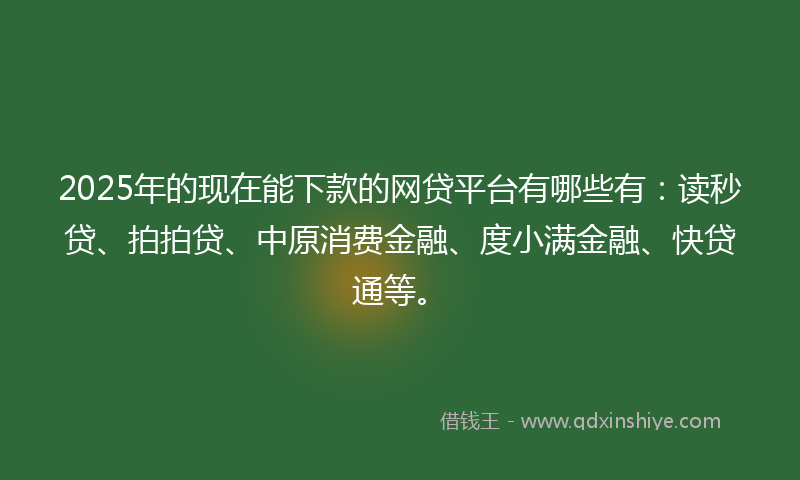 2025年的现在能下款的网贷平台有哪些有：读秒贷、拍拍贷、中原消费金融、度小满金融、快贷通等。