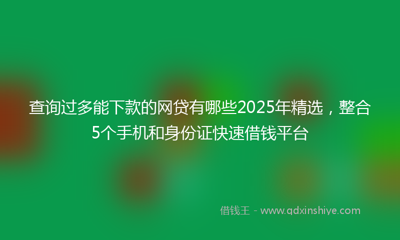 查询过多能下款的网贷有哪些2025年精选，整合5个手机和身份证快速借钱平台