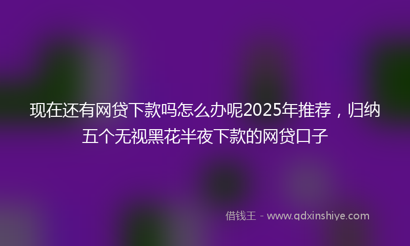 现在还有网贷下款吗怎么办呢2025年推荐，归纳五个无视黑花半夜下款的网贷口子