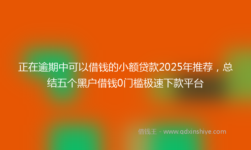 正在逾期中可以借钱的小额贷款2025年推荐，总结五个黑户借钱0门槛极速下款平台