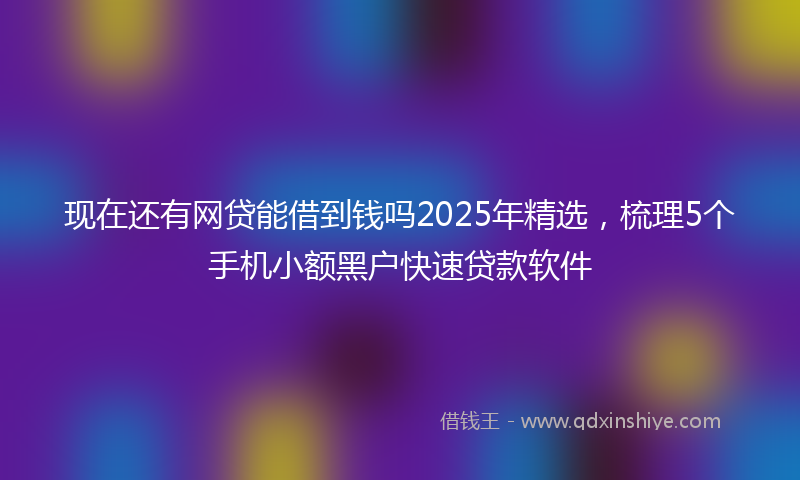 现在还有网贷能借到钱吗2025年精选，梳理5个手机小额黑户快速贷款软件