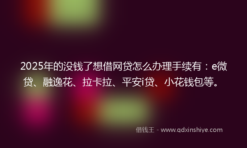2025年的没钱了想借网贷怎么办理手续有：e微贷、融逸花、拉卡拉、平安i贷、小花钱包等。