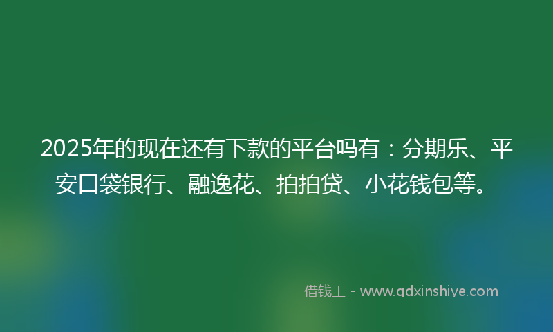 2025年的现在还有下款的平台吗有：分期乐、平安口袋银行、融逸花、拍拍贷、小花钱包等。