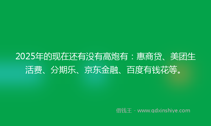 2025年的现在还有没有高炮有:惠商贷、美团生活费、分期乐、京东金融、百度有钱花等。