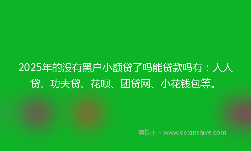 2025年的没有黑户小额贷了吗能贷款吗有：人人贷、功夫贷、花呗、团贷网、小花钱包等。
