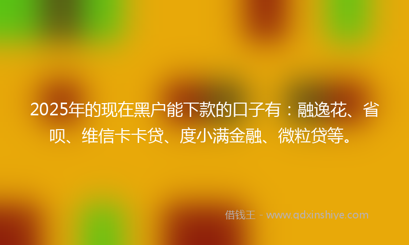 2025年的现在黑户能下款的口子有：融逸花、省呗、维信卡卡贷、度小满金融、微粒贷等。