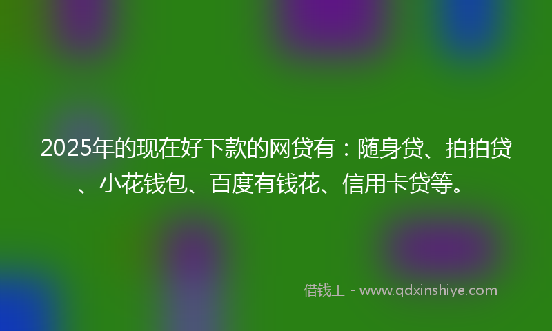 2025年的现在好下款的网贷有：随身贷、拍拍贷、小花钱包、百度有钱花、信用卡贷等。