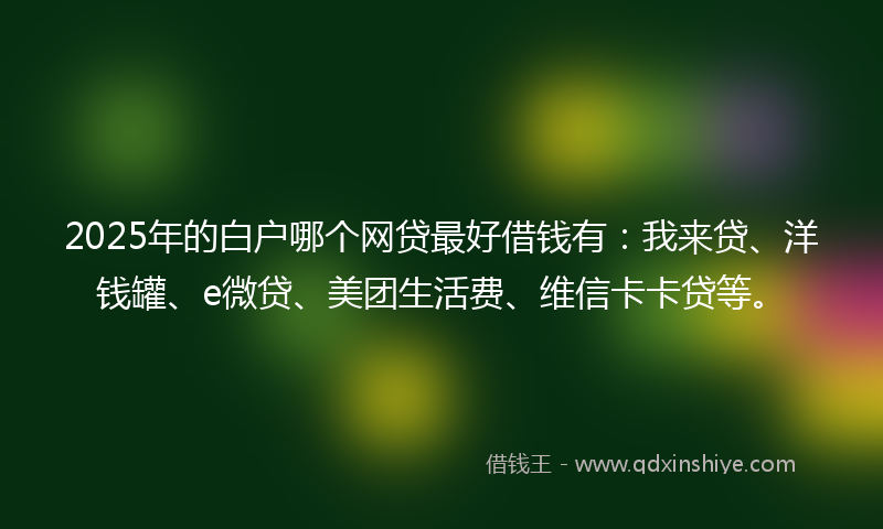 2025年的白户哪个网贷最好借钱有：我来贷、洋钱罐、e微贷、美团生活费、维信卡卡贷等。