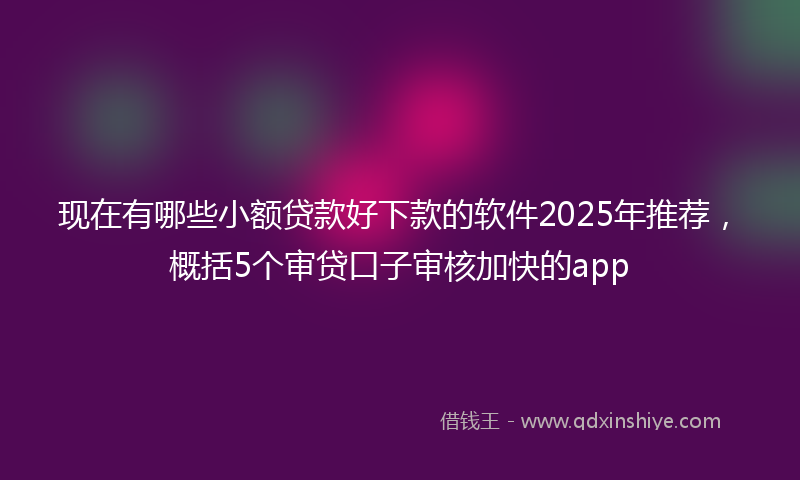 现在有哪些小额贷款好下款的软件2025年推荐，概括5个审贷口子审核加快的app