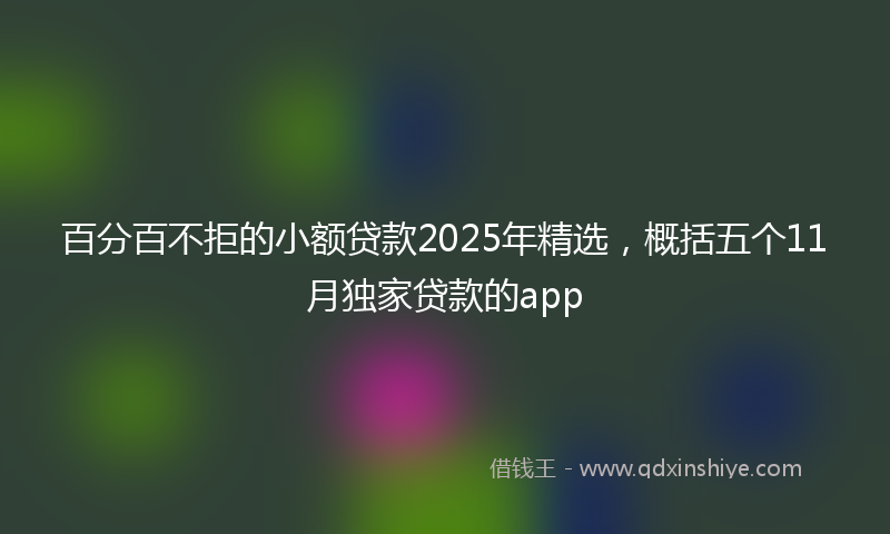 百分百不拒的小额贷款2025年精选，概括五个11月独家贷款的app