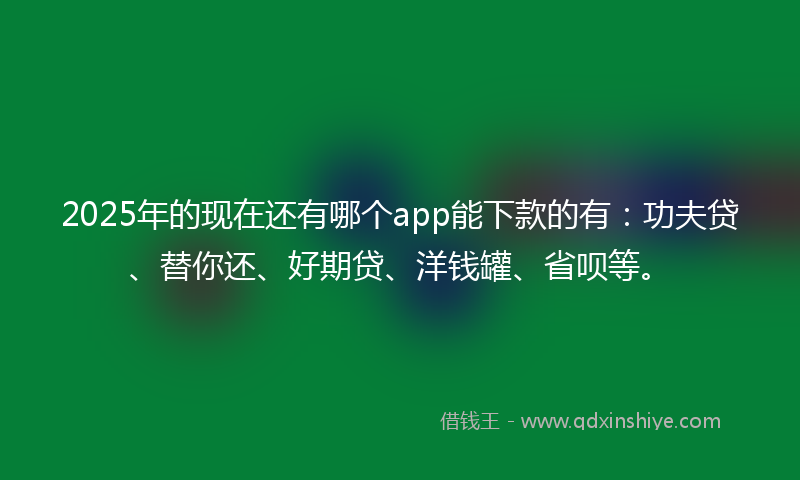 2025年的现在还有哪个app能下款的有：功夫贷、替你还、好期贷、洋钱罐、省呗等。