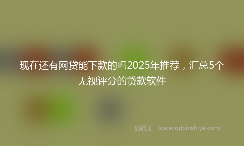 现在还有网贷能下款的吗2025年推荐，汇总5个无视评分的贷款软件