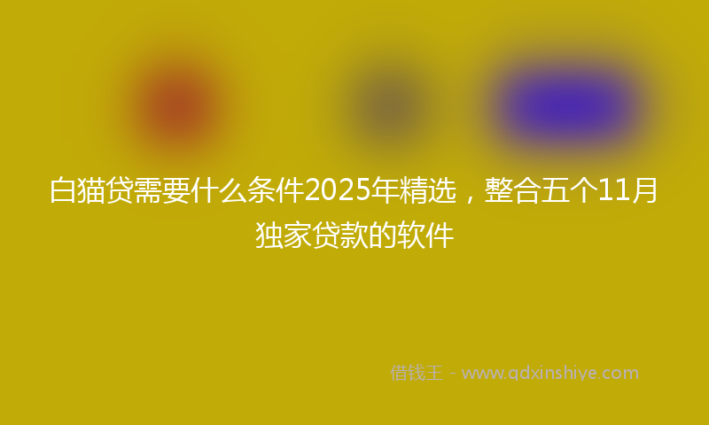 白猫贷需要什么条件2025年精选,整合五个11月独家贷款的软件