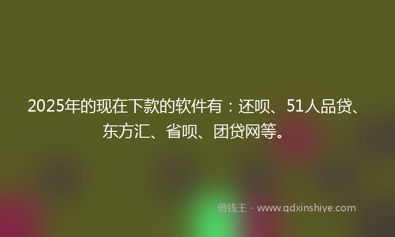 2025年的现在下款的软件有：还呗、51人品贷、东方汇、省呗、团贷网等。