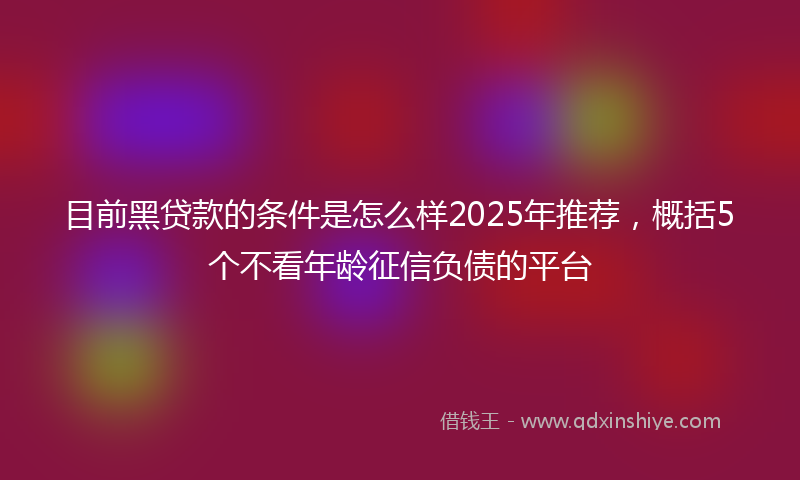 目前黑贷款的条件是怎么样2025年推荐，概括5个不看年龄征信负债的平台